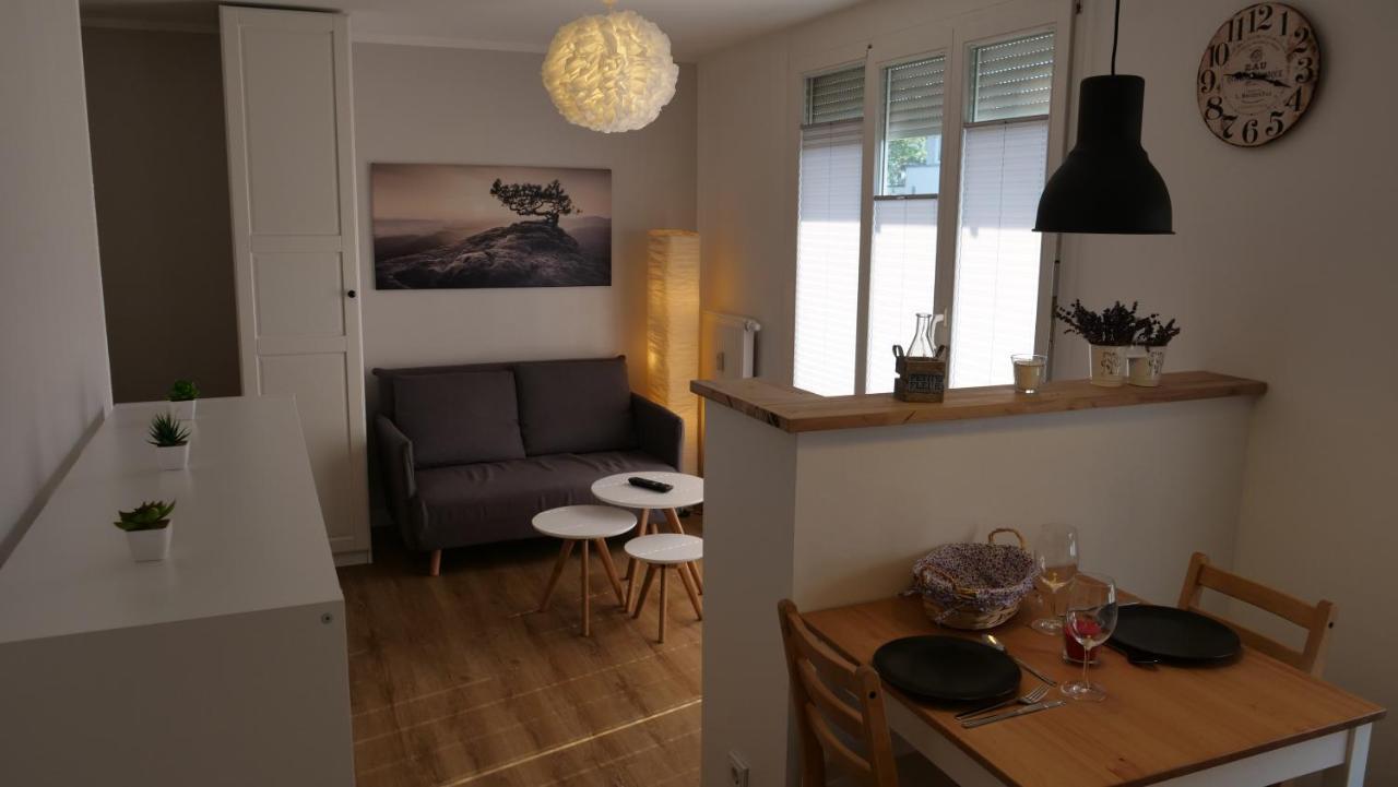 Ferienwohnung Gottleubapark Apartment بيرنا المظهر الخارجي الصورة